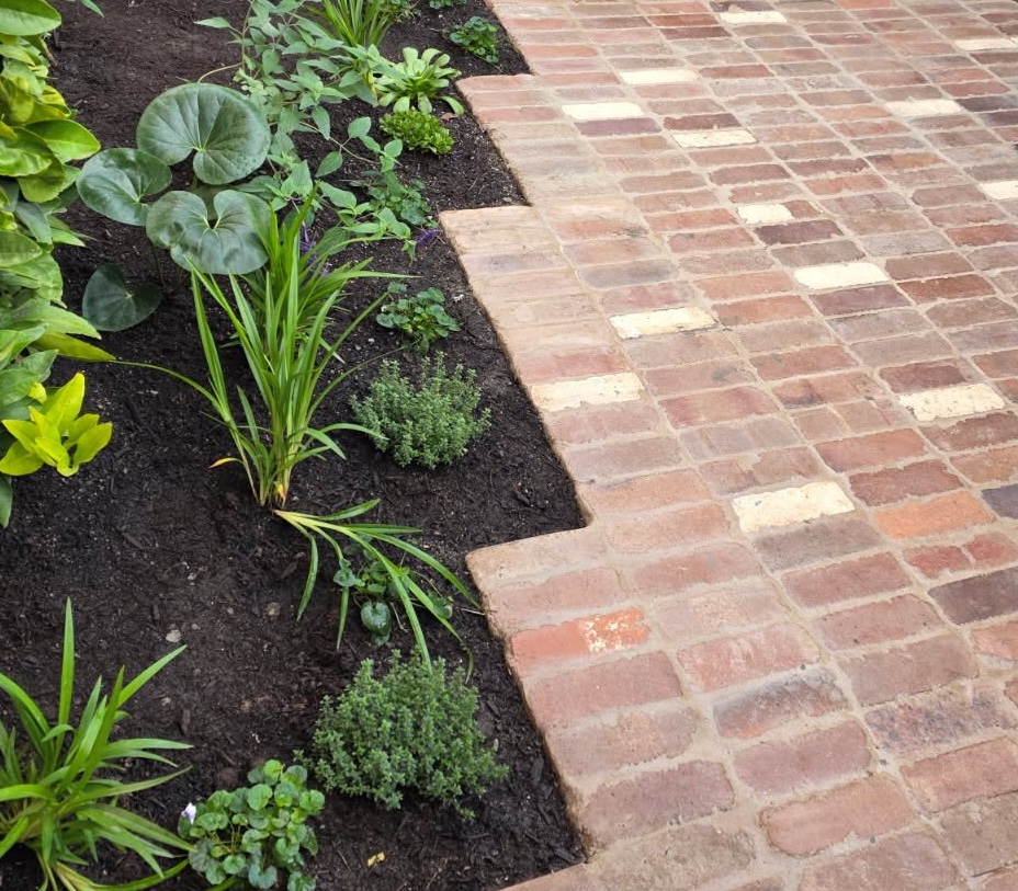 Reclaimed brick paving carefully edged around fresh green planting